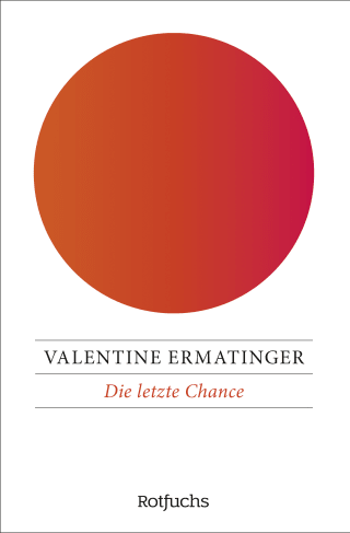 Buchcover von Die letzte Chance: Das Ende der 13. Prophezeiung