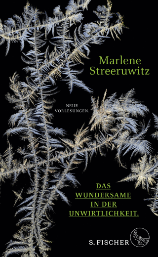 Buchcover von Das Wundersame in der Unwirtlichkeit.: Neue Vorlesungen.