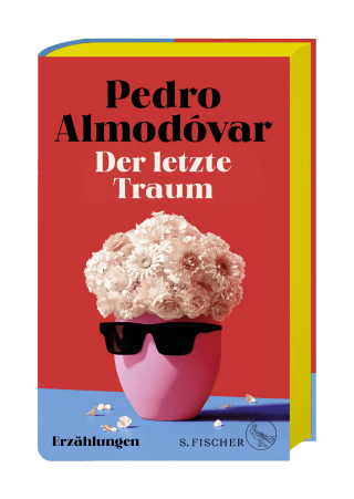 Buchcover von Der letzte Traum: Zwölf Erzählungen