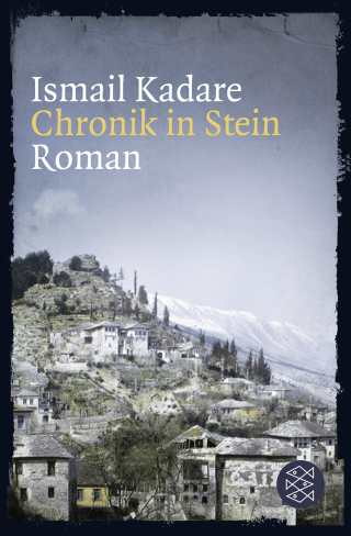 Buchcover von Chronik in Stein: Roman