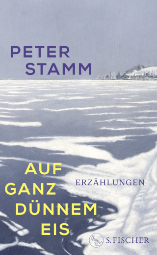 Buchcover von Auf ganz dünnem Eis: Erzählungen