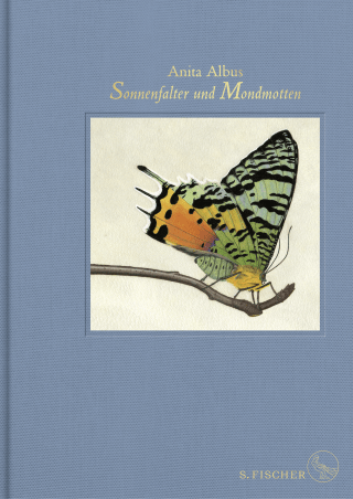 Buchcover von Sonnenfalter und Mondmotten