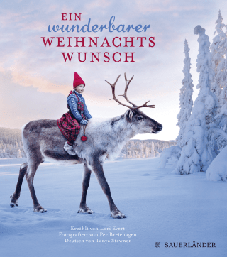 Buchcover von Ein wunderbarer Weihnachtswunsch Mini