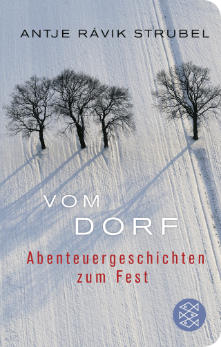 Buchcover von Vom Dorf: Abenteuergeschichten zum Fest