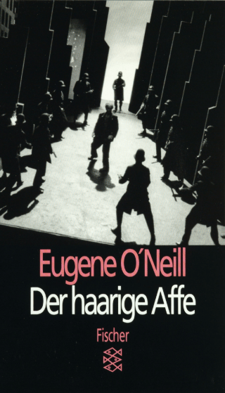 Buchcover von Der haarige Affe