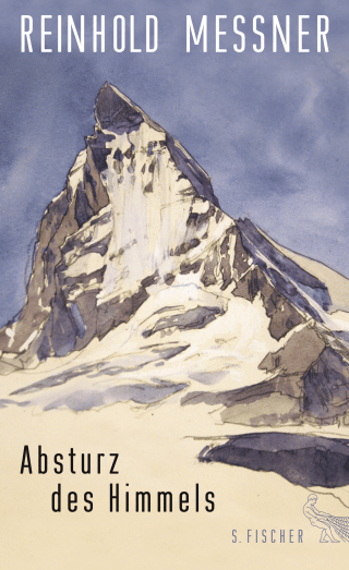 Buchcover von Absturz des Himmels