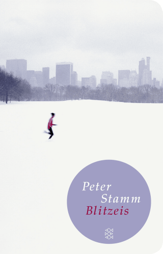 Buchcover von Blitzeis: Erzählungen