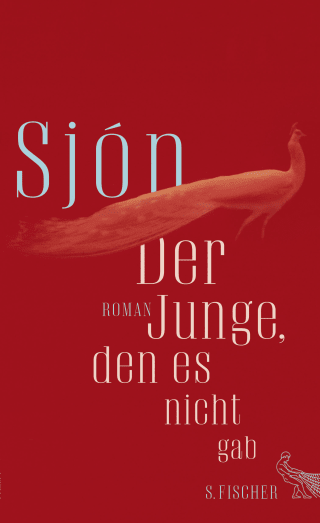 Buchcover von Der Junge, den es nicht gab: Roman