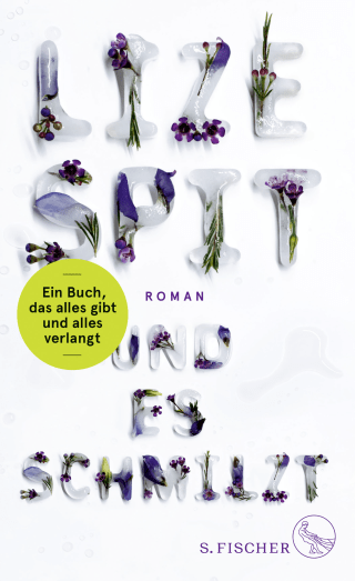 Buchcover von Und es schmilzt: Roman