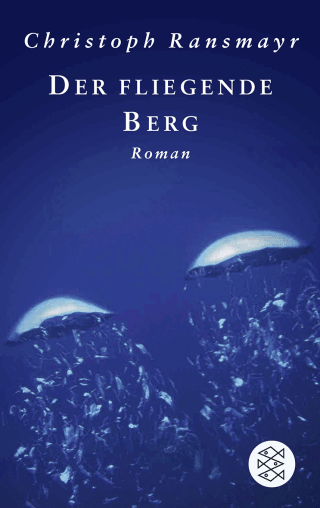 Buchcover von Der fliegende Berg: Roman