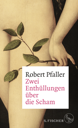 Buchcover von Zwei Enthüllungen über die Scham
