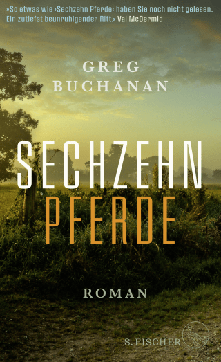 Buchcover von Sechzehn Pferde: Roman 