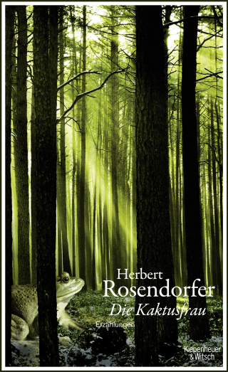 Buchcover von Die Kaktusfrau: Erzählungen