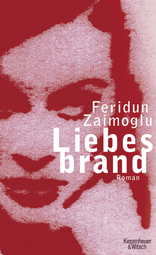 Buchcover von Liebesbrand: Roman