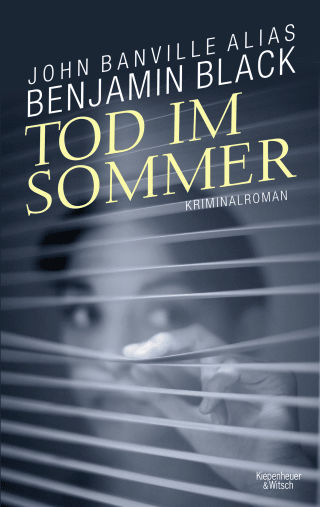 Buchcover von Tod im Sommer: Kriminalroman aus Dublin