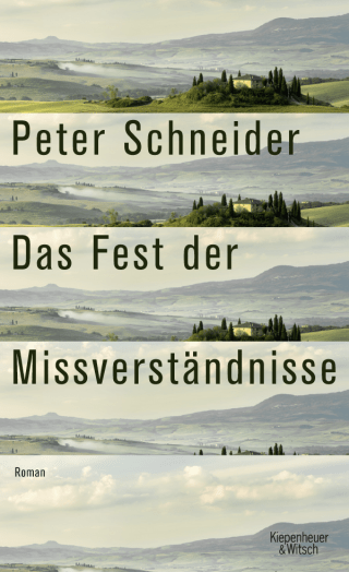 Buchcover von Das Fest der Missverständnisse: Erzählungen