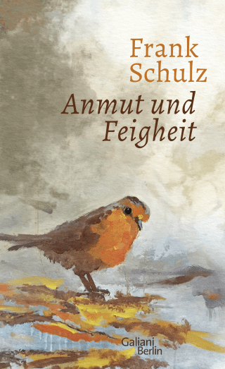 Buchcover von Anmut und Feigheit: Erzählungen