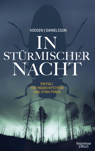One Stormy Night (Nyström-Forss 4)