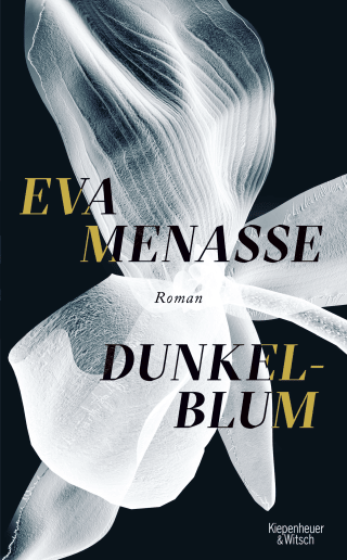 Dunkelblum
