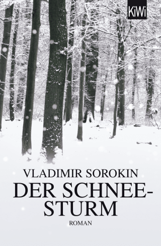 Der Schneesturm