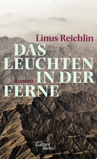 Buchcover von A Light in the Distance: Roman