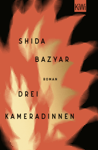 Buchcover von Drei Kameradinnen: Roman