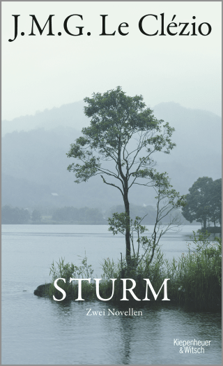 Buchcover von Sturm: Zwei Novellen