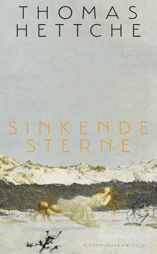 Buchcover von Sinkende Sterne: Roman