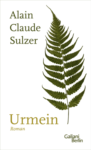 Buchcover von Urmein: Roman