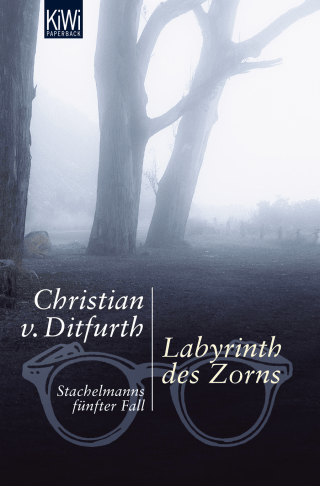 Buchcover von Labyrinth des Zorns: Stachelmanns fünfter Fall