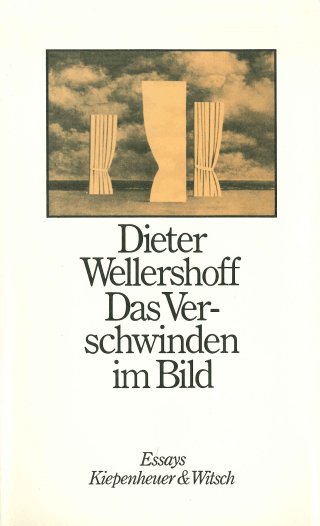 Buchcover von Das Verschwinden im Bild