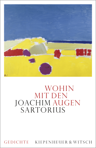 Buchcover von Wohin mit den Augen: Gedichte