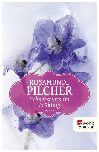 Buchcover von Schneesturm im Frühling