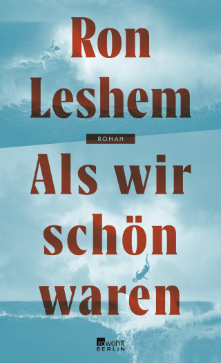 Buchcover von Als wir schön waren