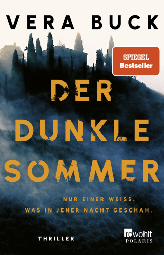 Buchcover von Der dunkle Sommer: Nur einer weiß, was in jener Nacht geschah.