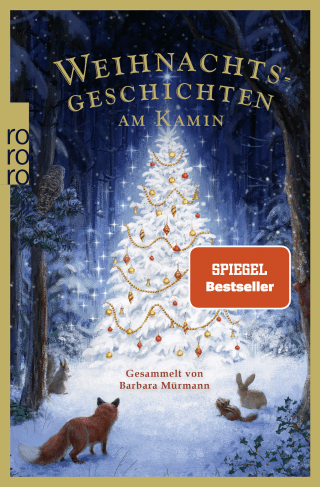 Buchcover von Weihnachtsgeschichten am Kamin 38: Gesammelt von Barbara Mürmann