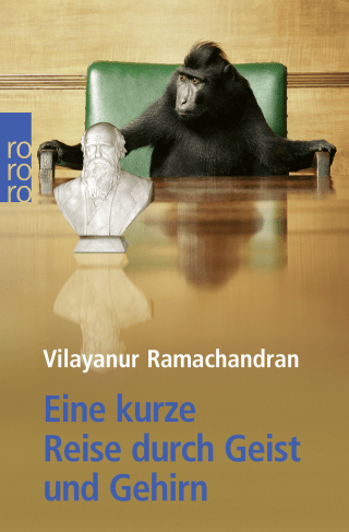 Eine kurze Reise durch Geist und Gehirn