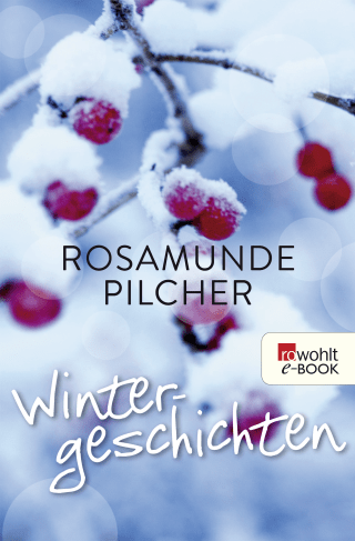 Buchcover von Wintergeschichten