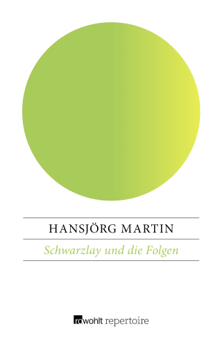 Buchcover von Schwarzlay und die Folgen