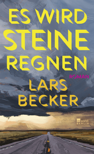 Buchcover von Es wird Steine regnen