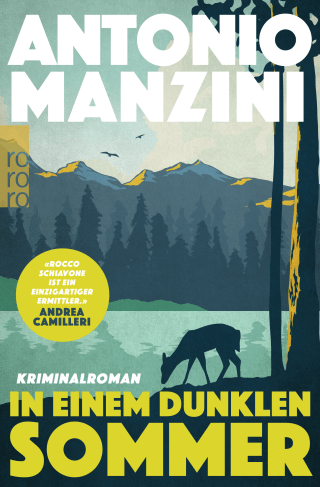 Buchcover von In einem dunklen Sommer