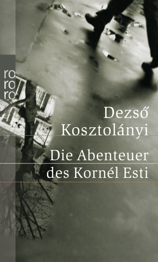 Buchcover von Die Abenteuer des Kornél Esti