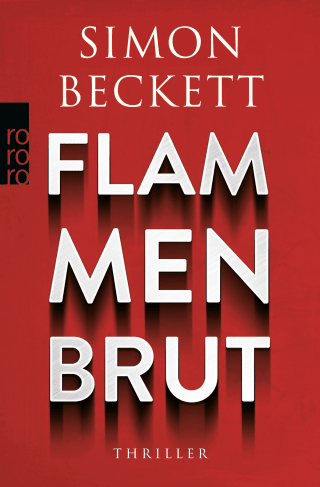 Buchcover von Flammenbrut