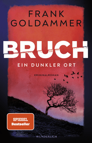 Buchcover von Bruch: Ein dunkler Ort