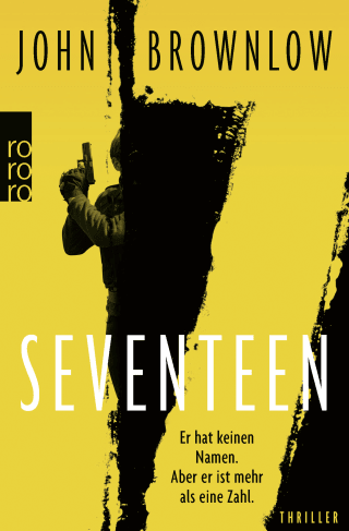 Buchcover von Seventeen