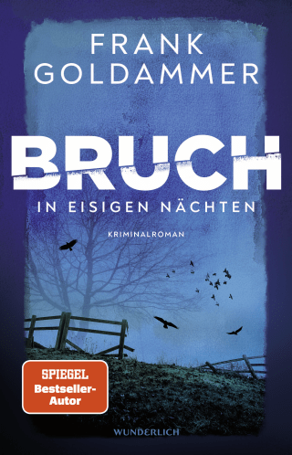 Buchcover von Bruch: In eisigen Nächten