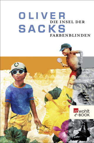 Die Insel der Farbenblinden
