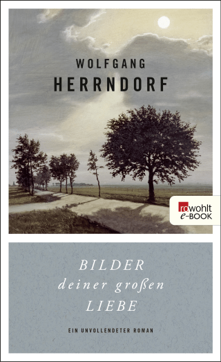 Bilder deiner großen Liebe