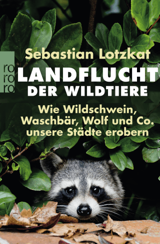 Buchcover von URBAN WILDLIFE: Wie Wildschwein, Waschbär, Wolf und Co. unsere Städte erobern