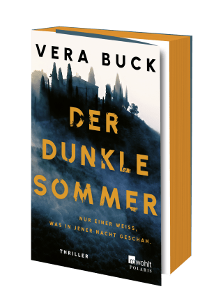 Der dunkle Sommer